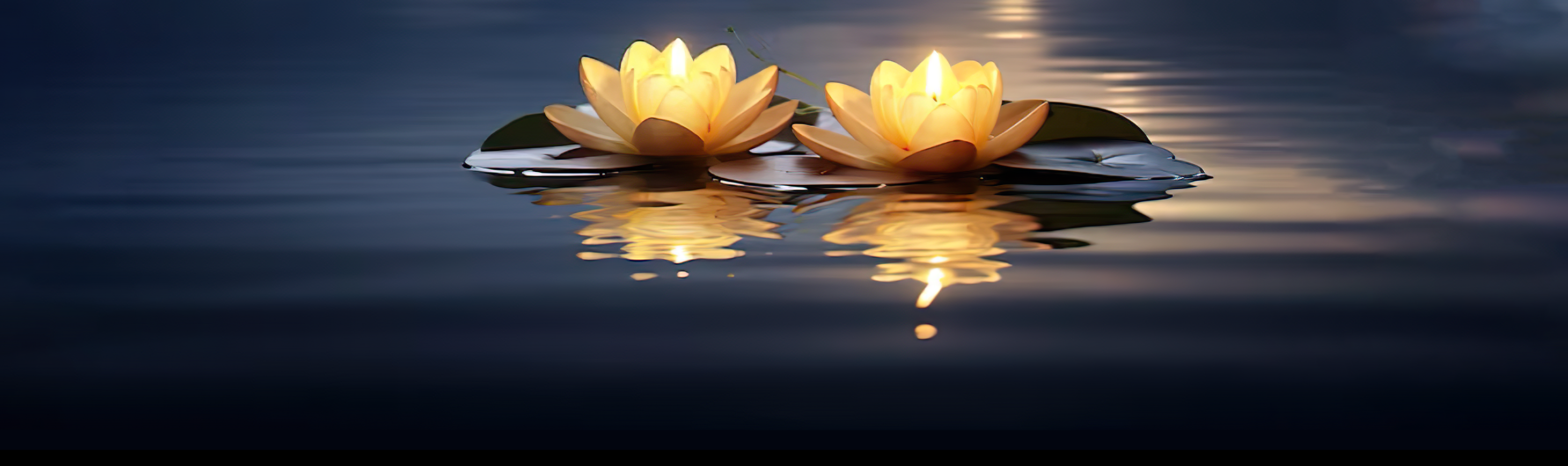 banner_phungthienhang